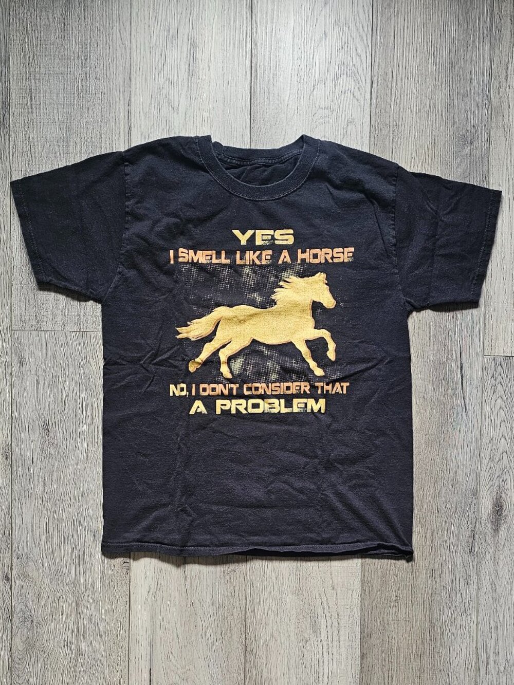 Hanes Comfort Soft Men´s M Graphic T-Shirt Black Horse Equestrian Y2K